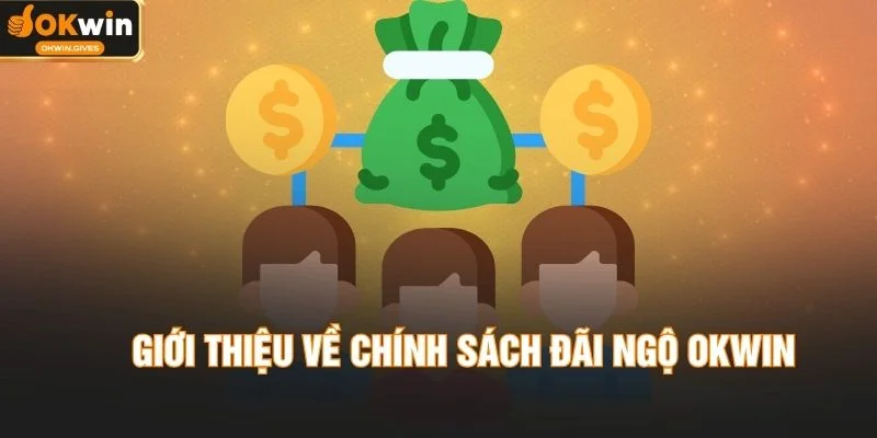 Giới thiệu về chính sách đãi ngộ OKWIN