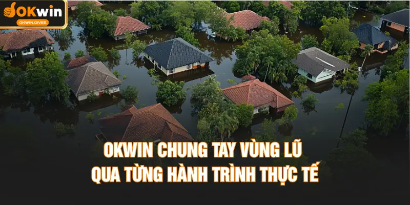 OKWIN chung tay vùng lũ qua từng hành trình thực tế